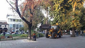 Κανονικά οι εργασίες κοπής δέντρων στην κεντρική πλατεία